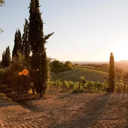 Giglio - Azienda Agricola Sotto Il Masso تْشيرتالدو